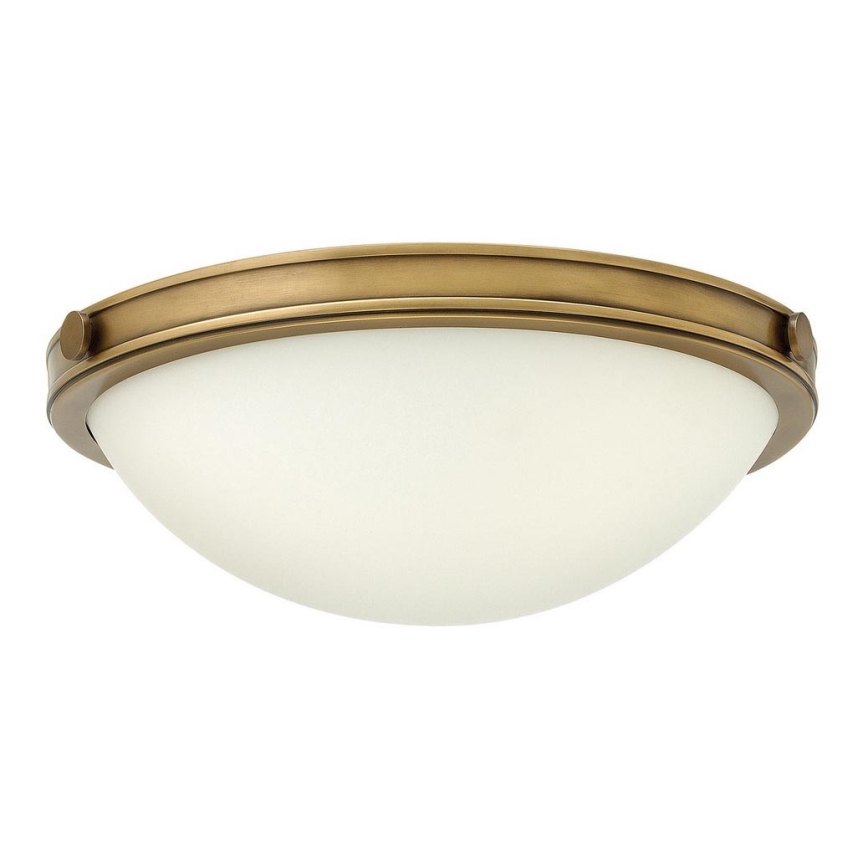 Hinkley - Ceiling light COLLIER 2xE27/40W/230V