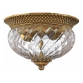 Hinkley - Ceiling light PLANTATION 2xE27/60W/230V brass