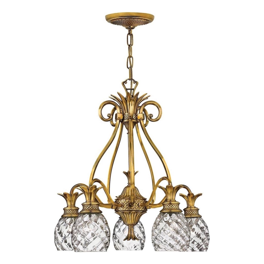Hinkley - Chandelier on a chain PLANTATION 5xE27/60W/230V gold