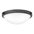Hinkley - COLLIER Ceiling Light 2xE27/40W/230V Ø 34.6 cm Black