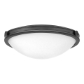 Hinkley - COLLIER ceiling light 3xE27/40W/230V pr. 48,3 cm black