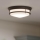 Hinkley - HADLEY Bathroom Ceiling Light 3xE27/40W/230V IP44 Bronze