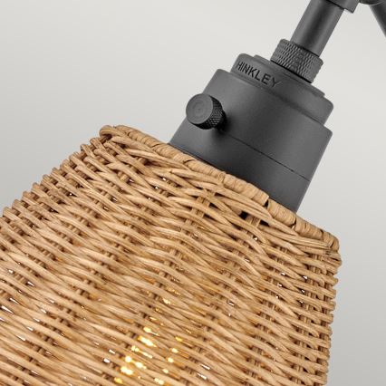 Hinkley - ARTI Wall Spotlight 1xE27/60W/230V Black/Brown