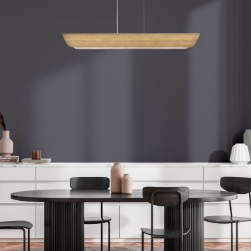 Hinkley - LED pendant on cable ARCO LED/43W/230V 3000K Gold
