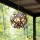 Hinkley - Outdoor chandelier CARSON 5xE14/40W/230V IP44