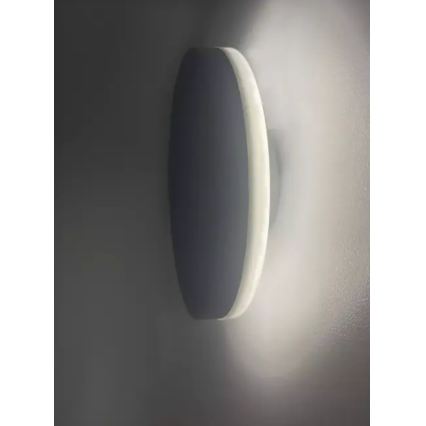 HÖFFTECH - LED Outdoor Wall Light LED/10W/230V Round IP65