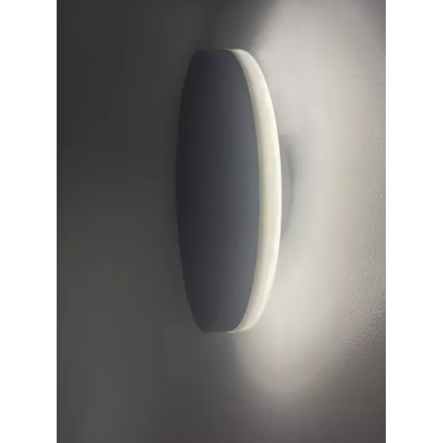 HÖFFTECH - LED Outdoor Wall Light LED/10W/230V Round IP65