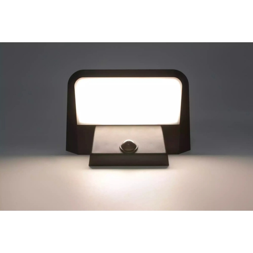 HÖFFTECH - LED Solar Wall Light with Motion and Dusk Sensor LED/5,5V 200 mAh IP44