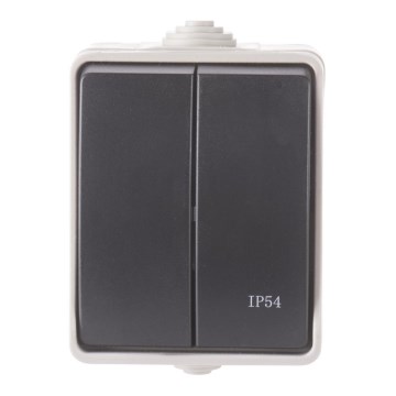 Home serial switch 250V/10A IP54