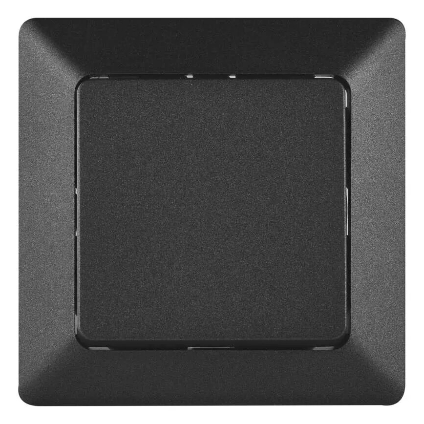 Home switch alternating 250V/10A anthracite