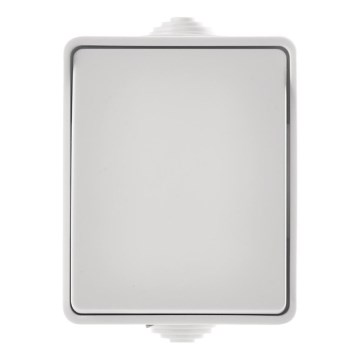 Home switch alternating 250V/10A IP54