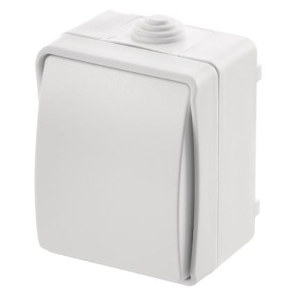 Home switch alternating 250V/10A IP54