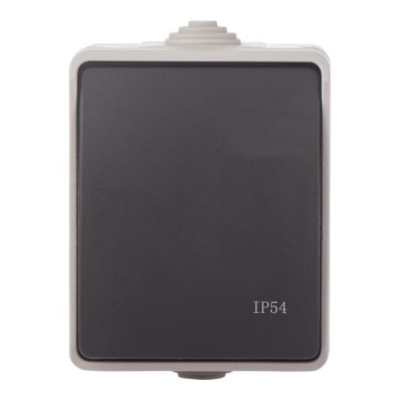 Home switch alternating 250V/10A IP54
