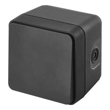 Home switch alternating 250V/10A IP55