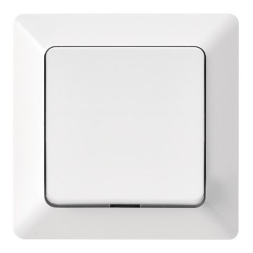 Home switch on/off 250V/10A