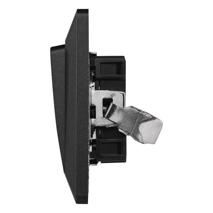 Home switch serial 250V/10A anthracite
