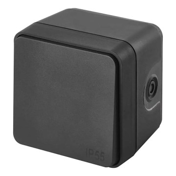 Home switch switch-on 250V/10A IP55