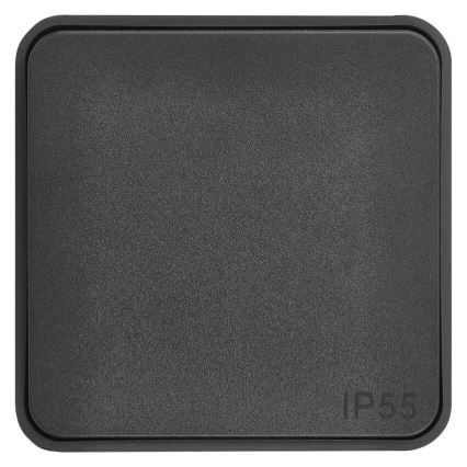 Home switch switch-on 250V/10A IP55