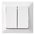 Home wall switch double alternating 250V/10A