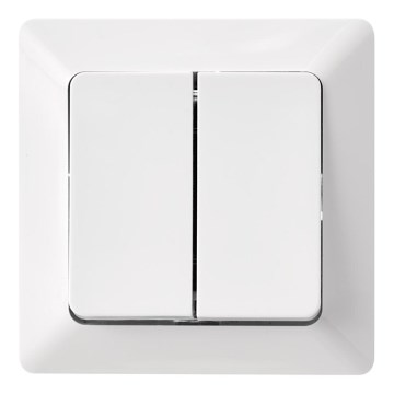 Home wall switch double alternating 250V/10A