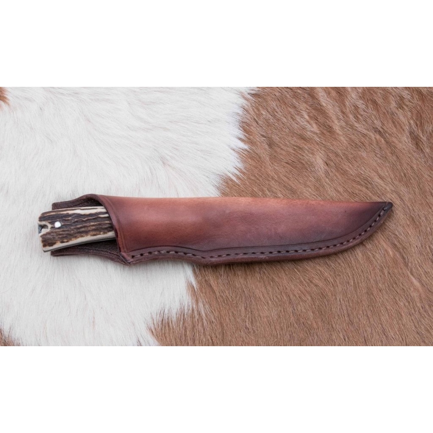 Hunting dispatch knife 12 cm deer antler