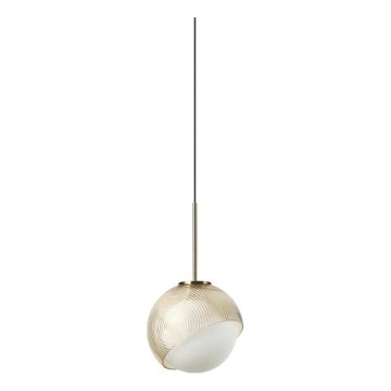 Ideal Lux - BLOOM LED cable pendant 1xG9/3W/230V Ø 11,5 cm gold/smoked beige