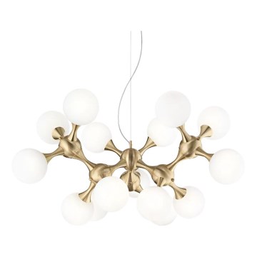 Ideal Lux - Cable-suspended chandelier NODI 15xE14/28W/230V diam. 105 cm brass/white