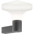 Ideal Lux - CLIO Outdoor Wall Light 1xE27/42W/230V IP44 Anthracite