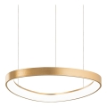 Ideal Lux - GEMINI LED cable pendant, 36W/230V, 2700K, Ø 42.5 cm, CRI 90, brass
