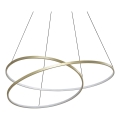 Ideal Lux - LED Cable Pendant OZ LED/75W/230V Ø 100 cm CRI 90 Gold Finish