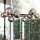 Ideal Lux - LED Chandelier on a string PERLAGE 11xG9/3W/230V d. 73 cm black/smoky