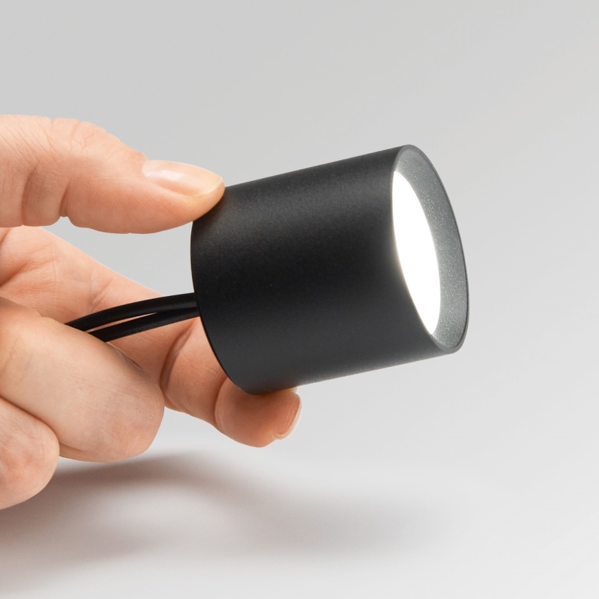 Ideal Lux - LED Dimmable spotlight NITRO LED/4W/230V d. 4,2 cm CRI 90 black