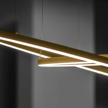 Ideal Lux - ORACLE SLIM LED Cable Pendant Light 37W/230V 3000K CRI 90 Ø 70 cm Gold