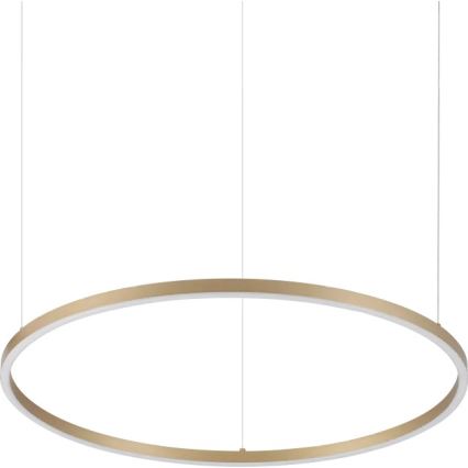 Ideal Lux - ORACLE SLIM LED pendant on cable LED/37W/230V 3000K CRI 90 dia. 70 cm gold