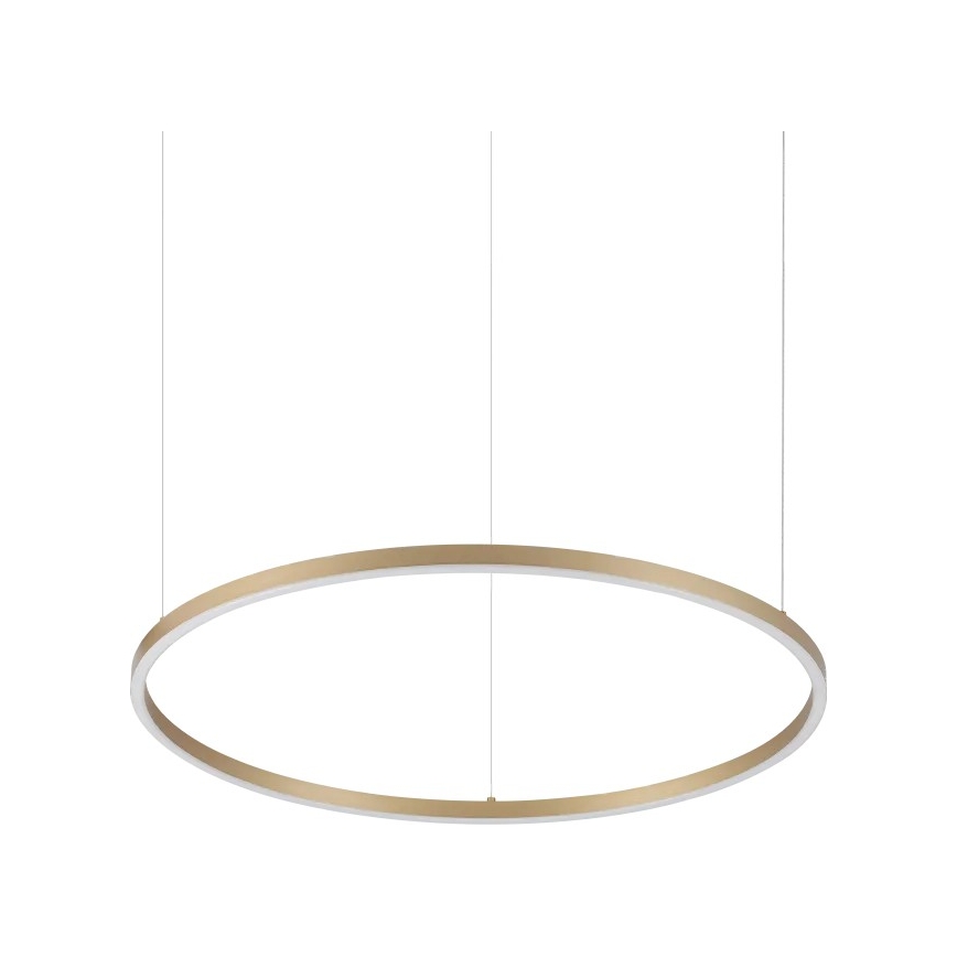 Ideal Lux - ORACLE SLIM LED pendant on cable LED/37W/230V 3000K CRI 90 dia. 70 cm gold