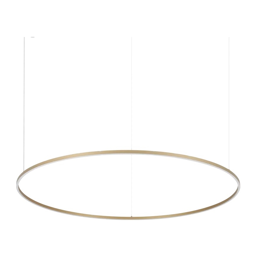 Ideal Lux - ORACLE SLIM LED Cable Pendant LED/81W/230V 3000K CRI 90 Ø150 cm Gold