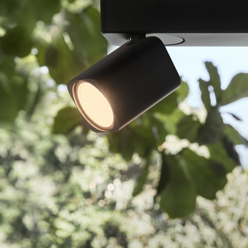 Ideal Lux - LED Spotlight RUDY 4xGU10/7W/230V CRI 90 black