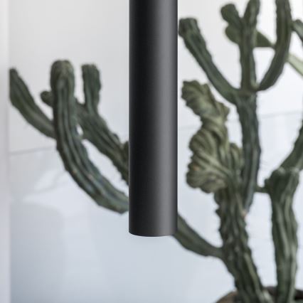 Ideal Lux - LOOK LED cable pendant 1x GU10/7W/230V CRI 90, dia. 6 cm, black