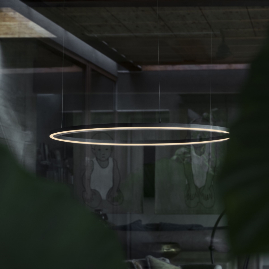 Ideal Lux - ORACLE SLIM cable-suspended LED pendant, 83W/230V, 4000K, CRI 90, Ø 150 cm, black