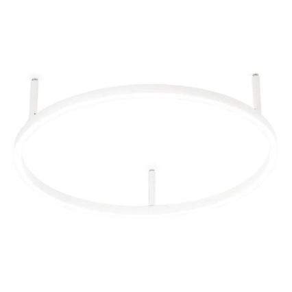 Ideal Lux - LED Ceiling Light ORACLE SLIM LED/29W/230V 4000K CRI 90 pr. 50 cm white