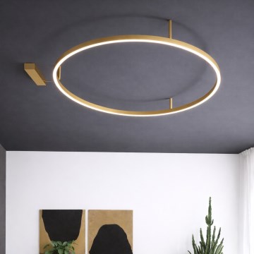 Ideal Lux - ORACLE SLIM LED Ceiling Light, 37W/230V, 3000K, CRI 90, Ø 70 cm, Gold