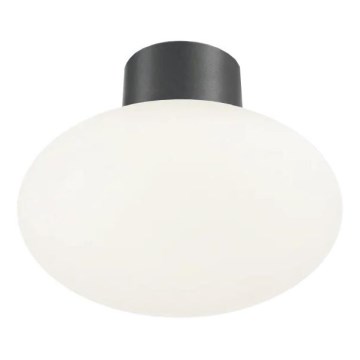 Ideal Lux - Outdoor ceiling light CLIO 1xE27/42W/230V IP44 anthracite