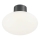 Ideal Lux - Outdoor ceiling light CLIO 1xE27/42W/230V IP44 anthracite