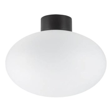 Ideal Lux - Outdoor ceiling light CLIO 1xE27/42W/230V IP44 black