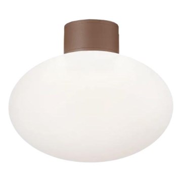 Ideal Lux - Outdoor ceiling light CLIO 1xE27/42W/230V IP44 brown
