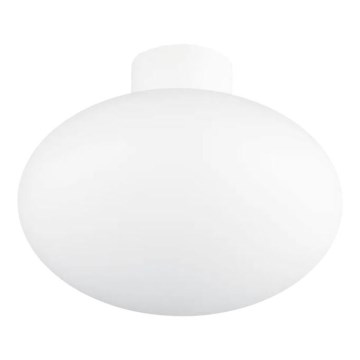 Ideal Lux - Outdoor ceiling light CLIO 1xE27/42W/230V IP44 white