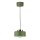 IGNIA cable-hung pendant light 1xE27/60W/230V green
