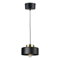 IGNIA Cable Pendant Light 1xE27/60W/230V Black/Gold