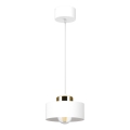 IGNIA Cable-Suspended Pendant Light 1x E27/60W/230V White/Gold
