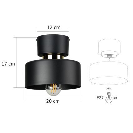IGNIA Ceiling Light 1x E27/60W/230V Black/Gold